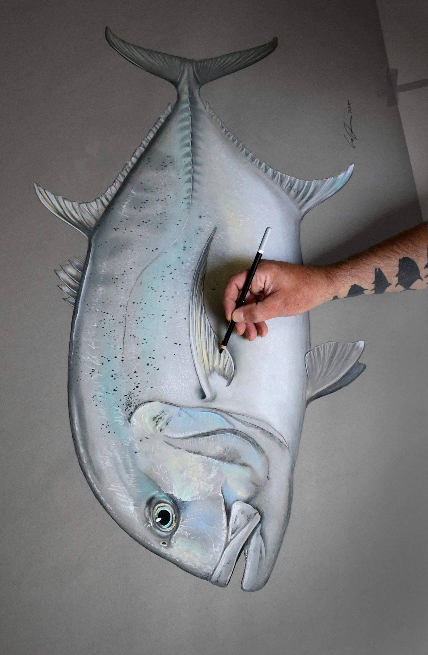 Giant Trevally Fine Art Print