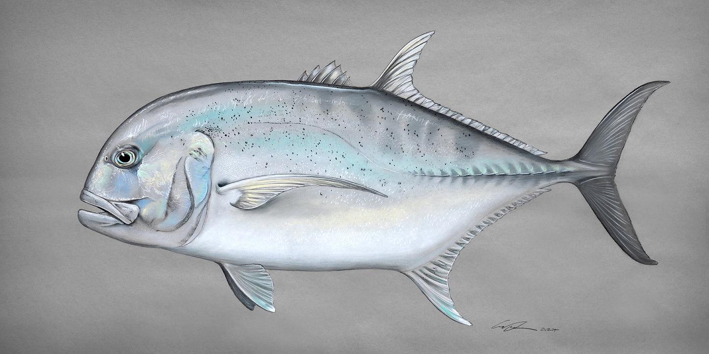 Giant Trevally Fine Art Print