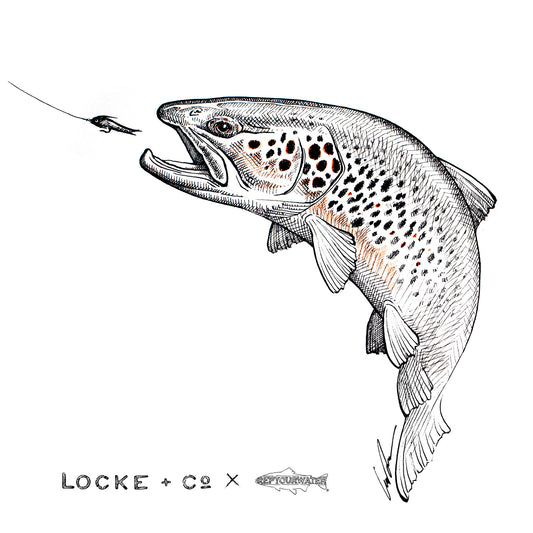 Locke + Co X RepYourWater Collab Brown Trout Fine Art Print