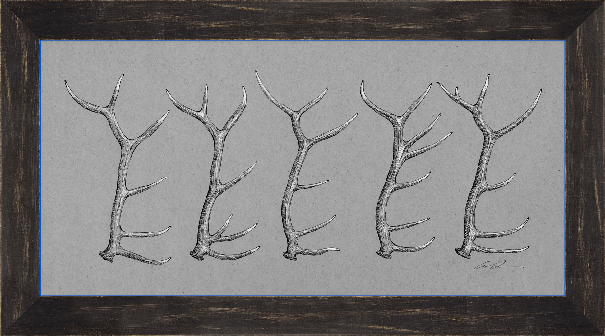 A black and white drawing of of 5 elk antlers on gray paper, framed in a black rustic frame