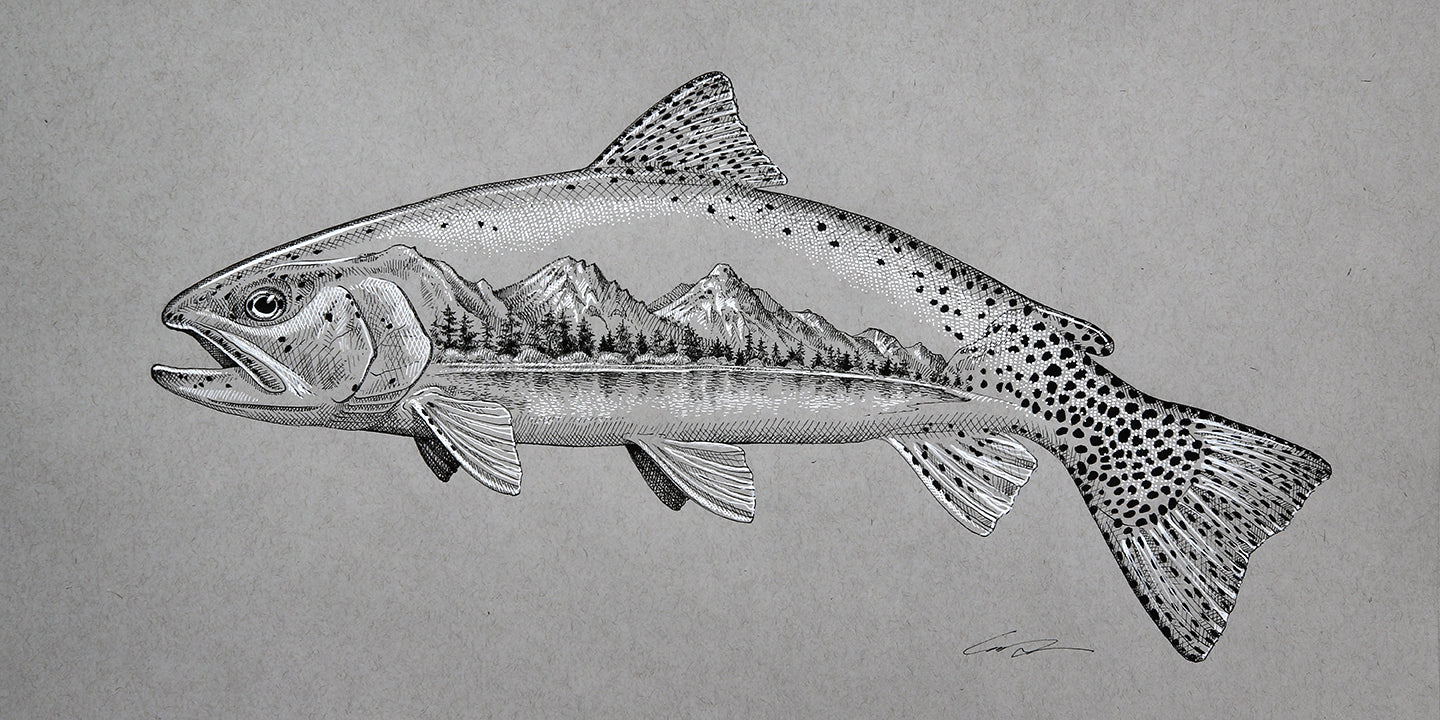 A drawing of a cutthroat trout with a mountain and lake scene inside it