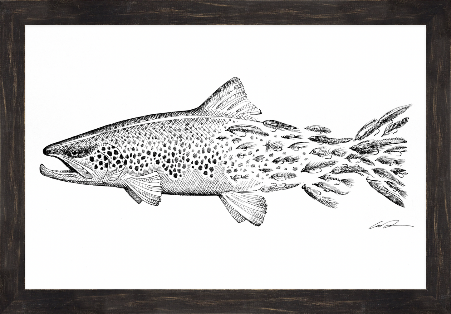 A pen and ink drawing of a brown trout where the trout's spots fade into flies to form the tail of the fish.