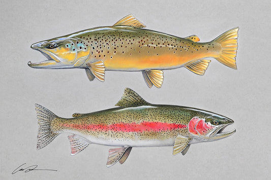 Rainbow Trout Breaking Surface - SykArt Designs