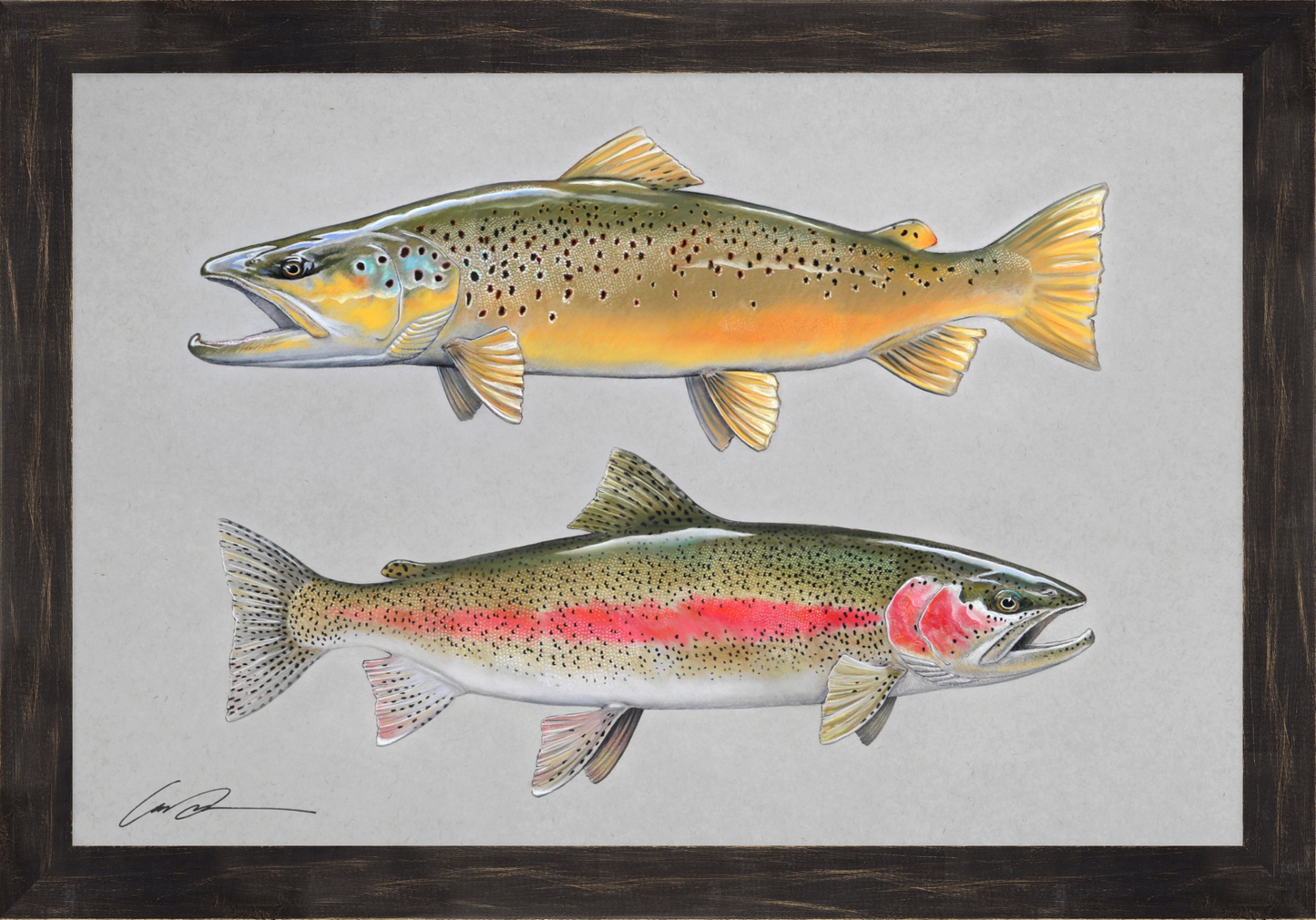 a full color pastel drawing of a brown trout facing left above a rainbow trout facing right, framed in rustic black frame