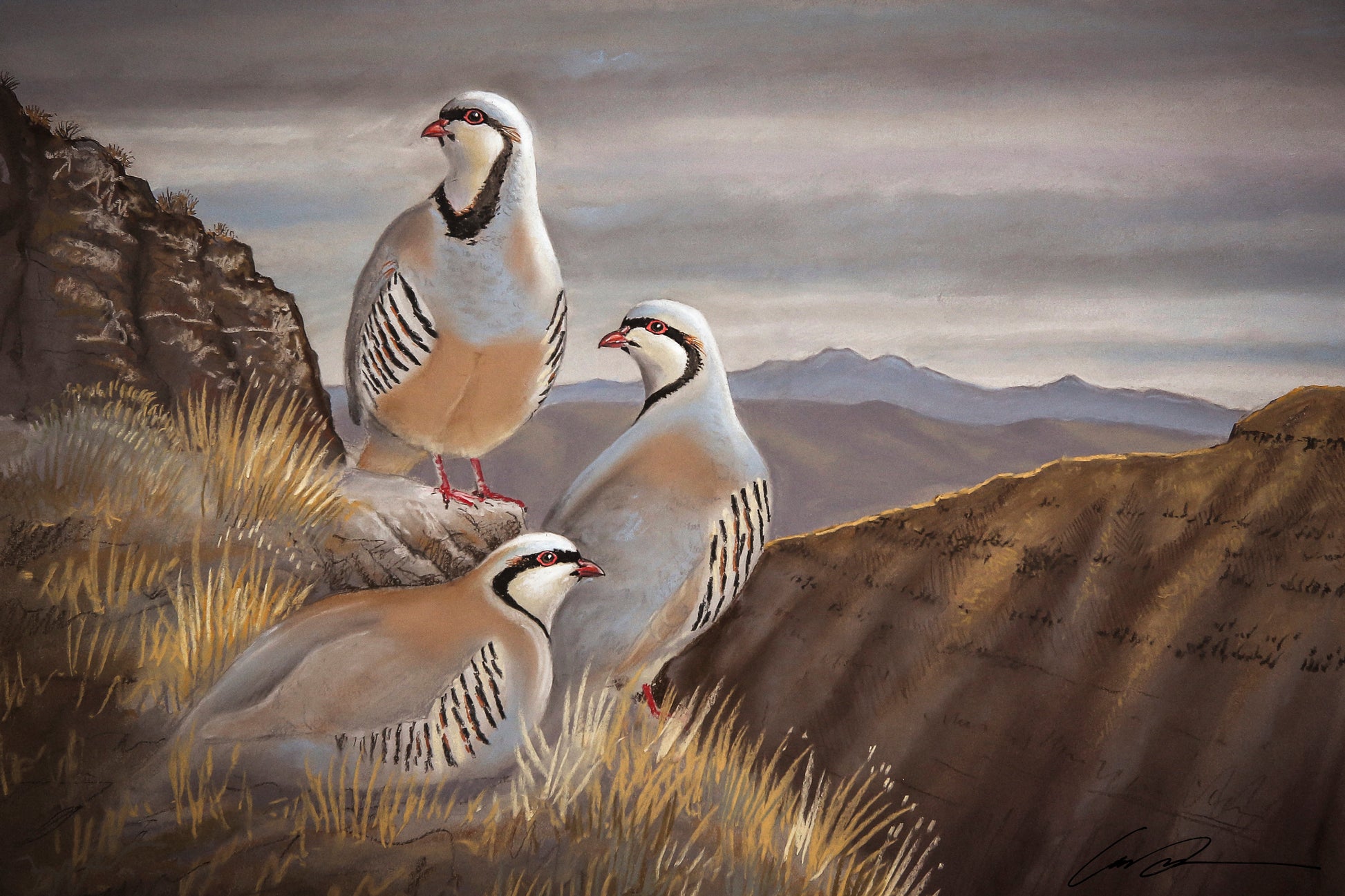 A pastel drawing of three chukar above a large canyon