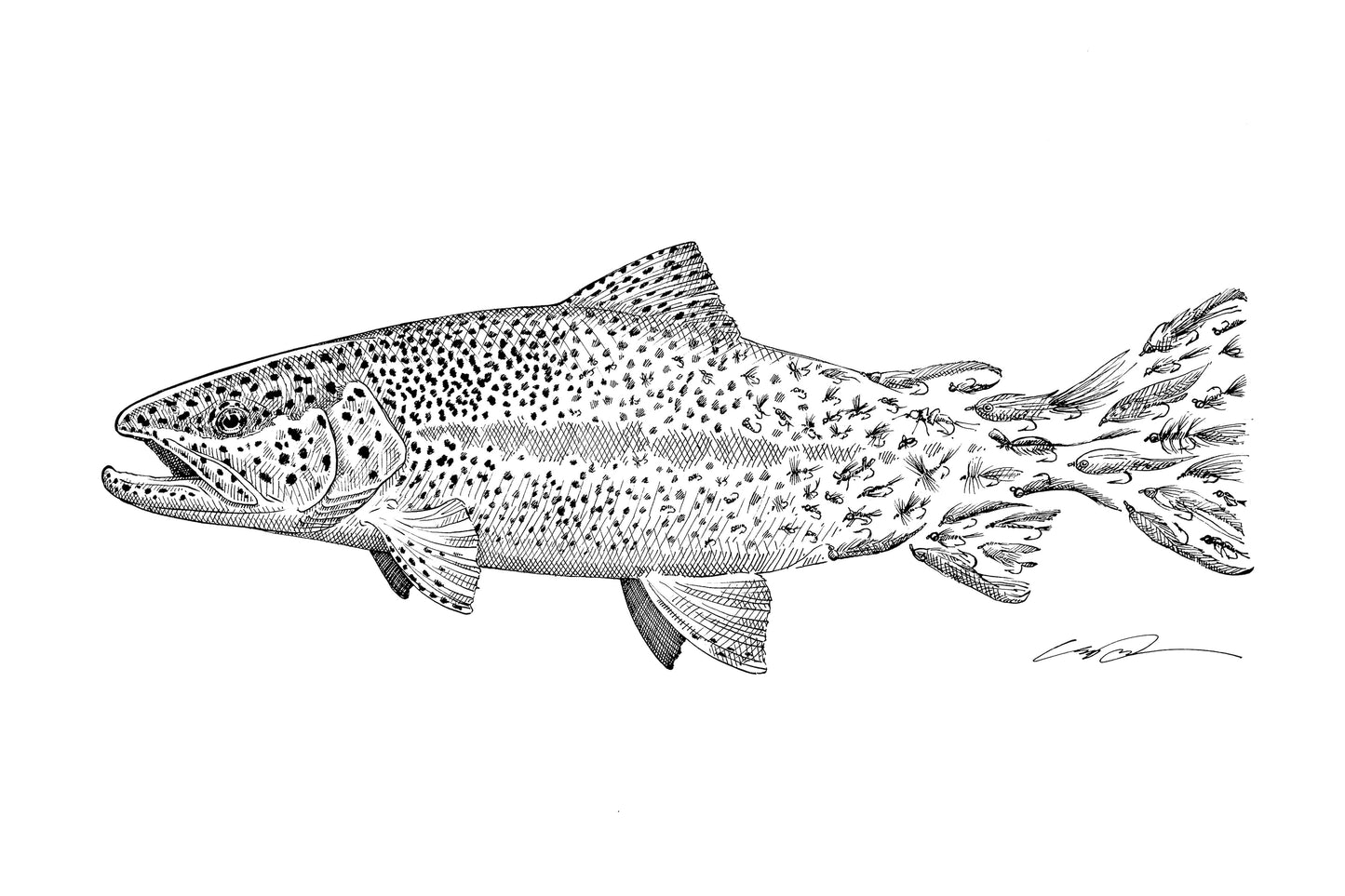 A pen and ink drawing of a rainbow trout where the trout's spots fade into flies to form the tail of the fish.
